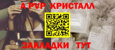 стаф Гай