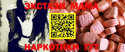 стаф Гай