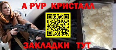 стаф Гай