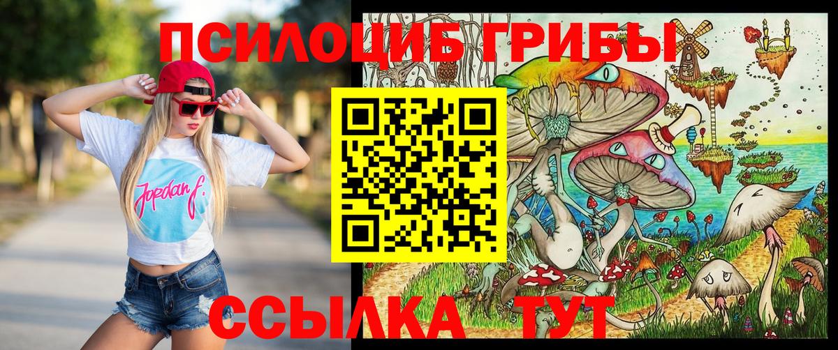 Псилоцибиновые грибы Psilocybine cubensis  Вход с VPN  Михайловск 